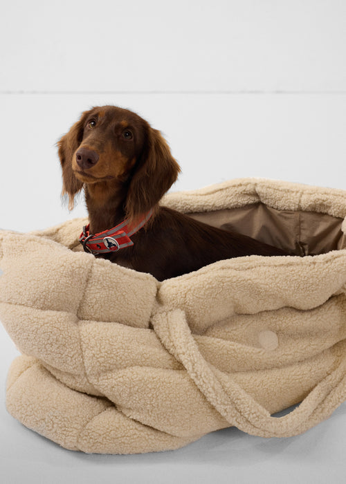 2_LEINASHERPA_UTOT212505-90H_11