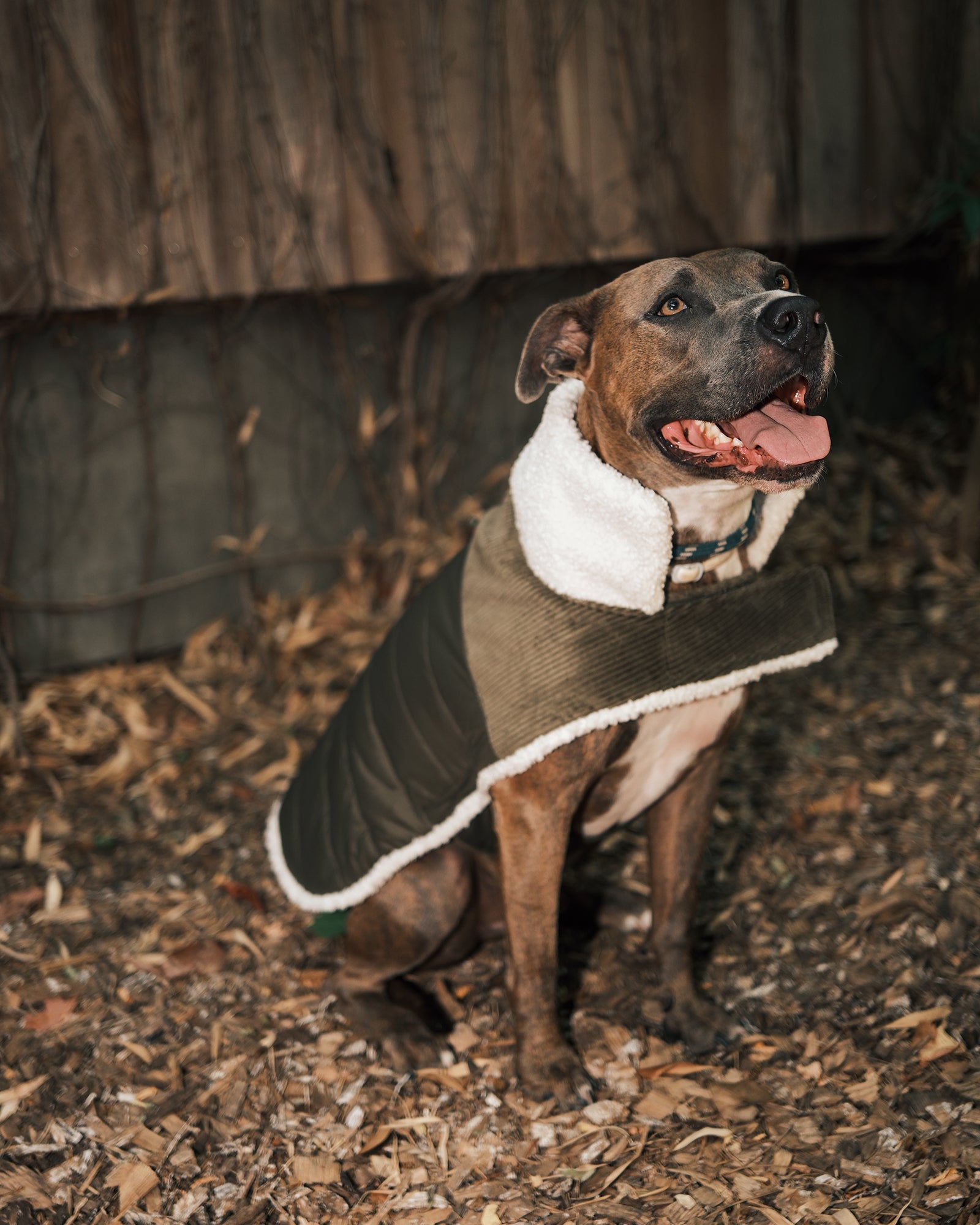 Doudoune pour chien Army Ouaf JOTT