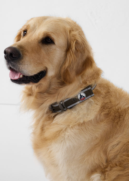 4_PANCHO_AOTH212503-255_12