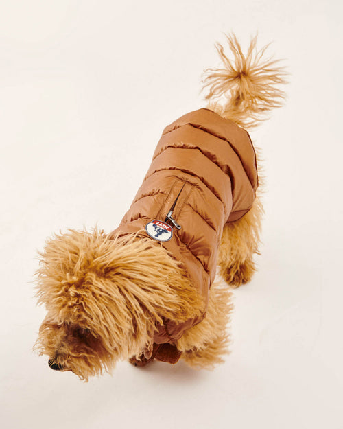 Doudoune pour chien Caramel Woop - JOTT - 2