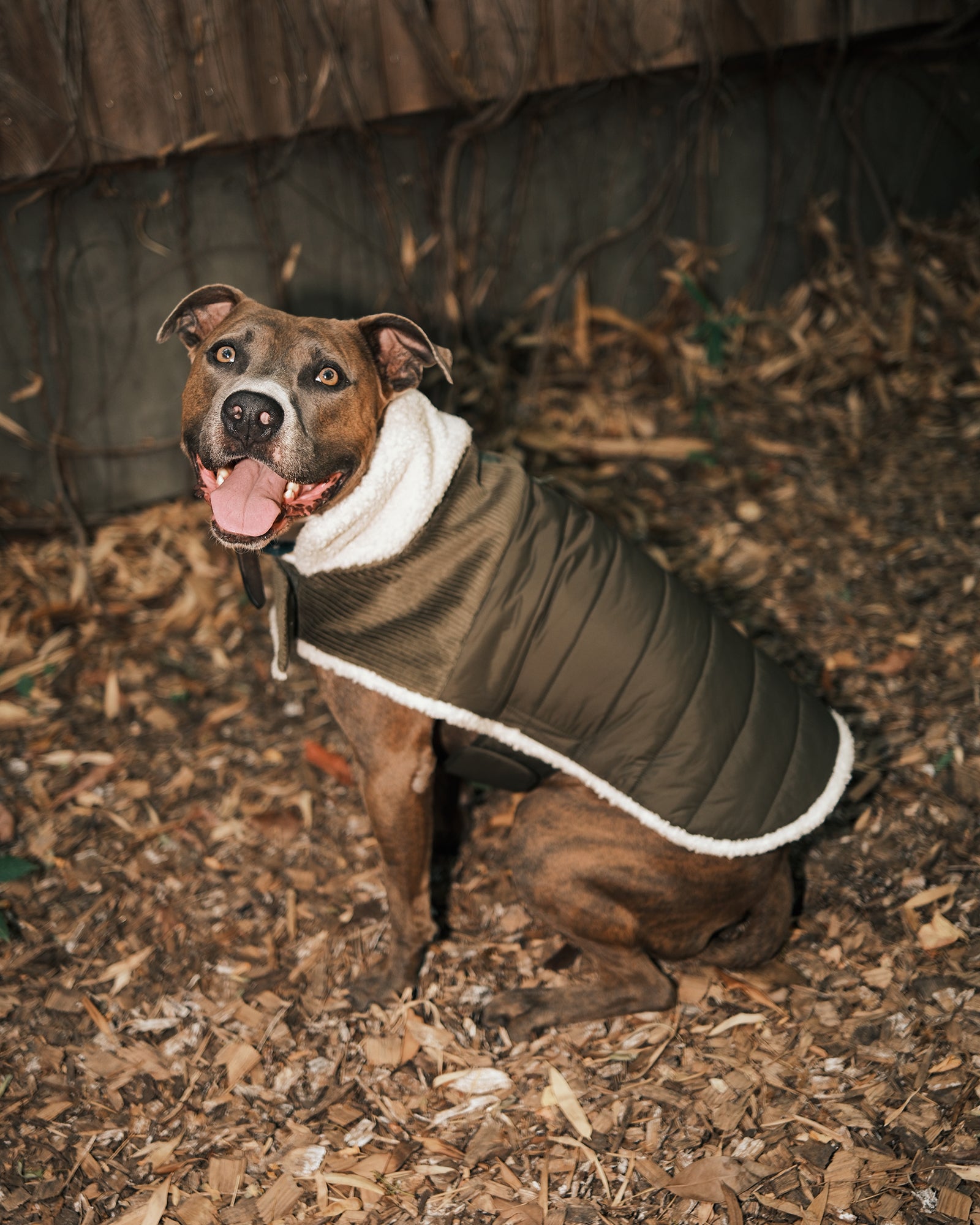 Doudoune pour chien Army Ouaf JOTT