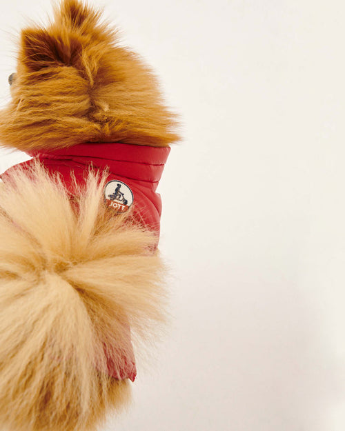 Doudoune pour chien Rouge Woop