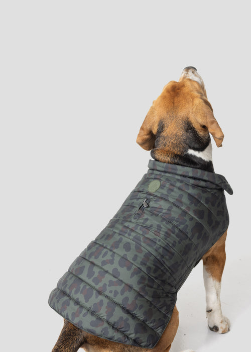 Doudoune pour chien Army foncé léopard Cutie print