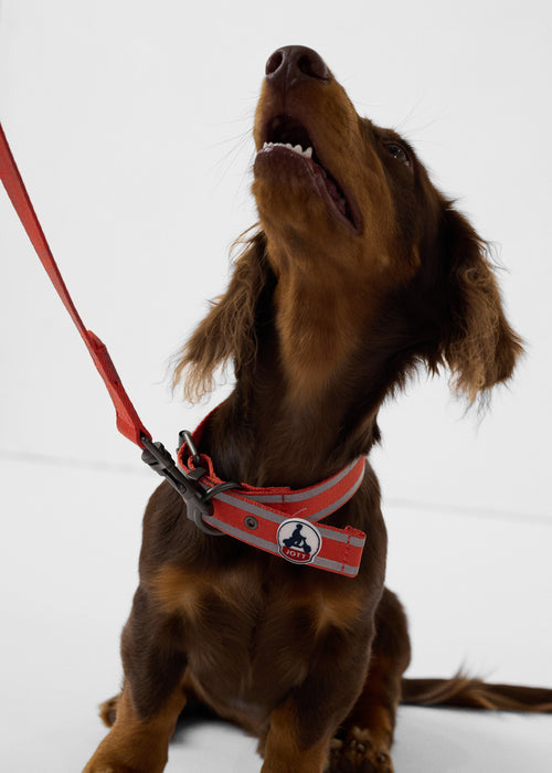 2_PANCHO_AOTH212503-30C_11