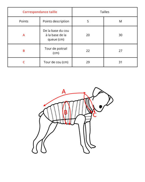 Regenmantel für Hunde Schwarz Balto - JOTT - 3