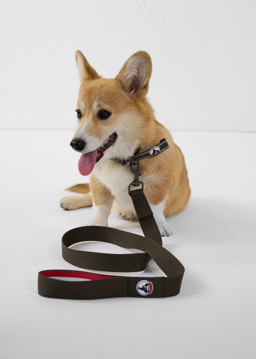 2_MAX_AOTH212504-255_11