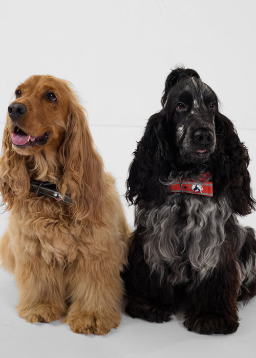 5_PANCHO_AOTH212503-255_13