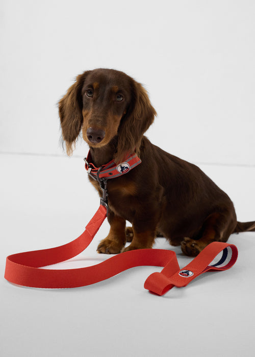 2_MAX_AOTH212504-30C_11