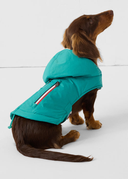 Balto impermeable verde persa impermeable - JOTT - 2