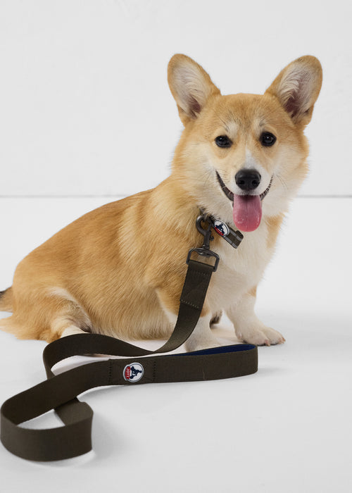 Correa para perros Army Max - JOTT - 2