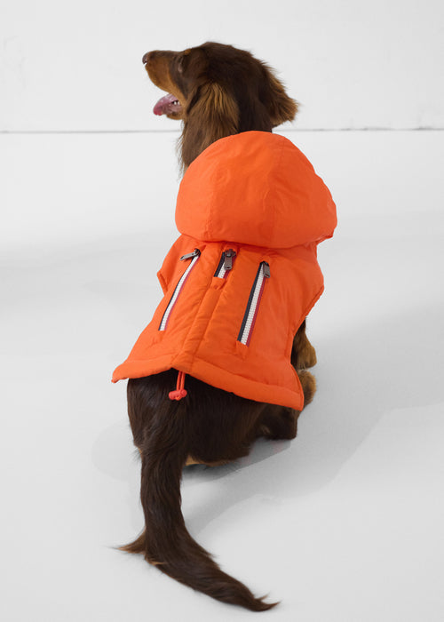 Impermeabile per cani Balto rosso fuoco - JOTT - 3