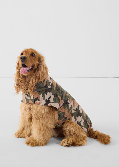 Donsjas voor honden Camo bruine suiker Cutie print - JOTT - 2